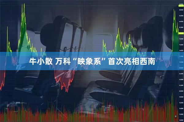 牛小散 万科“映象系”首次亮相西南