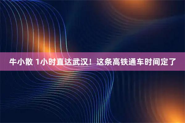 牛小散 1小时直达武汉！这条高铁通车时间定了